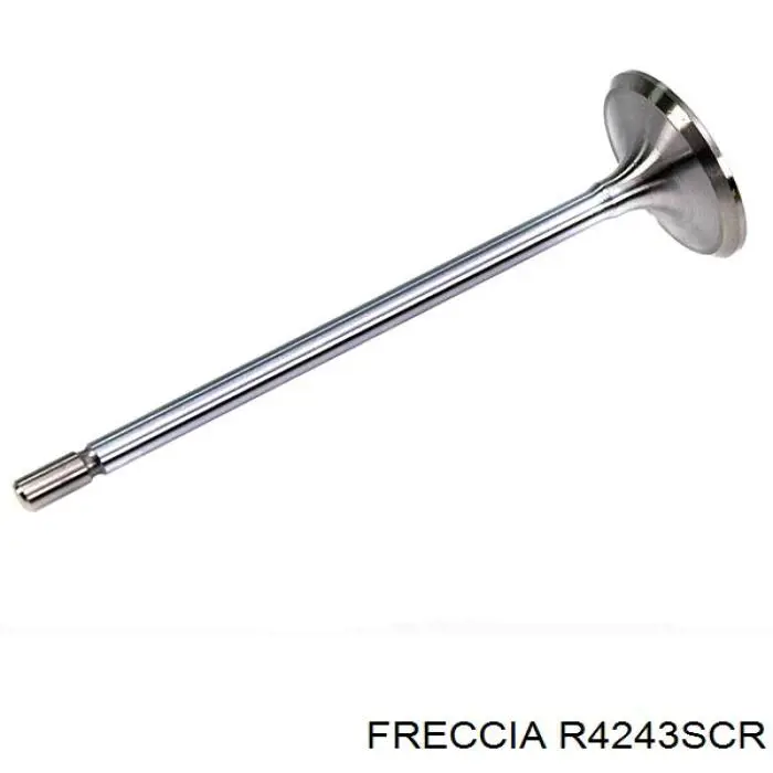 Válvula de admisión Freccia R4243SCR precio, desde 5,03 EUR