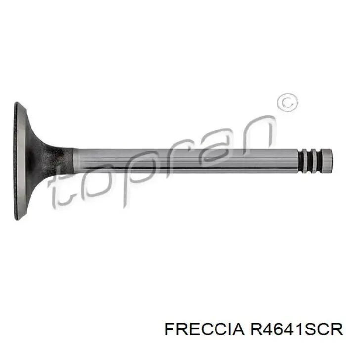 Válvula de admisión Freccia R4641SCR precio, desde 10,16 EUR