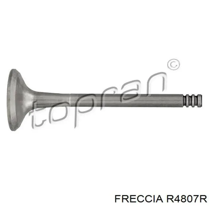 Válvula de escape Freccia 4807 precio, desde 6,43 EUR