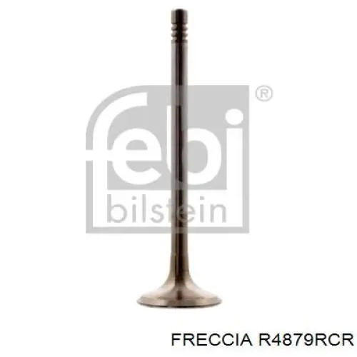 Comprar R4879RCR Freccia Válvula escape
