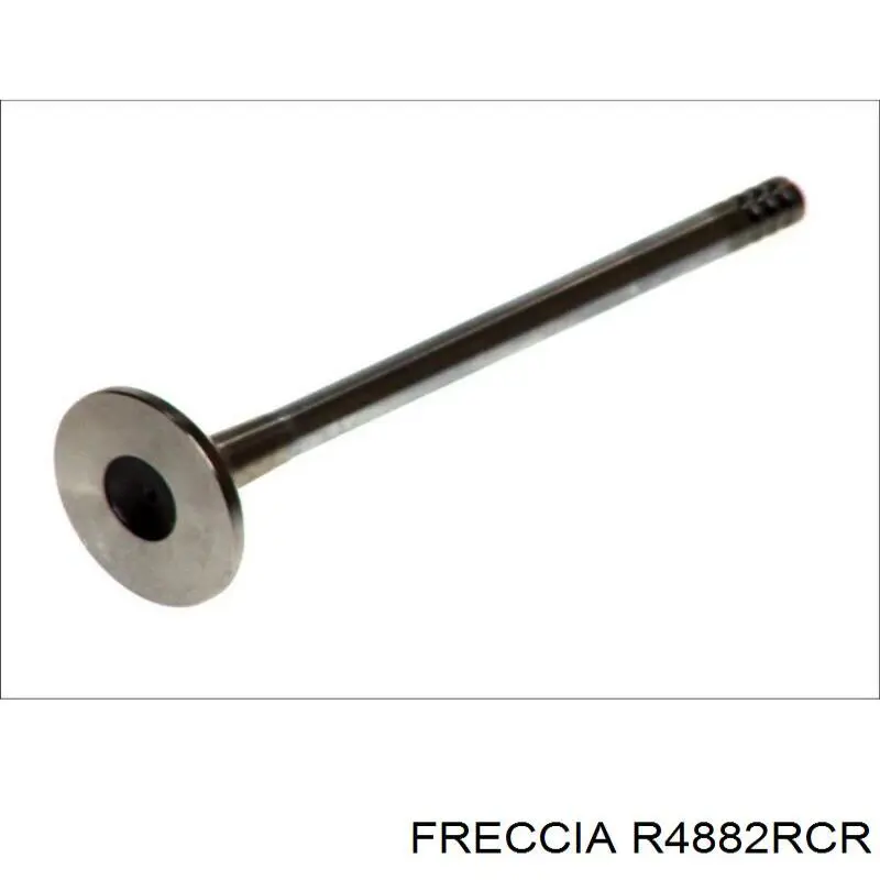 Comprar R4882RCR Freccia Válvula escape