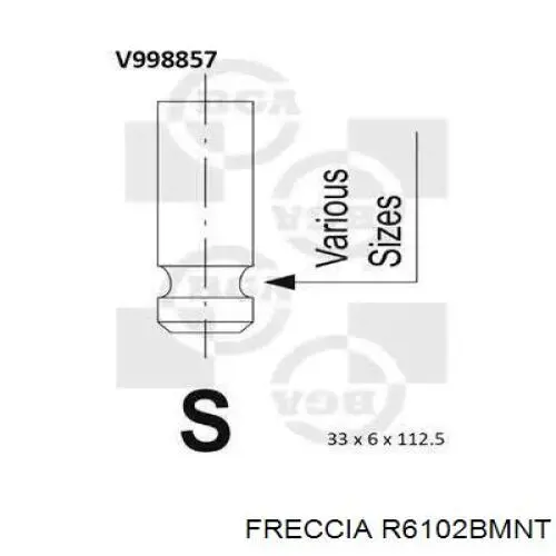Comprar R6102BMNT Freccia Válvulas de admisión