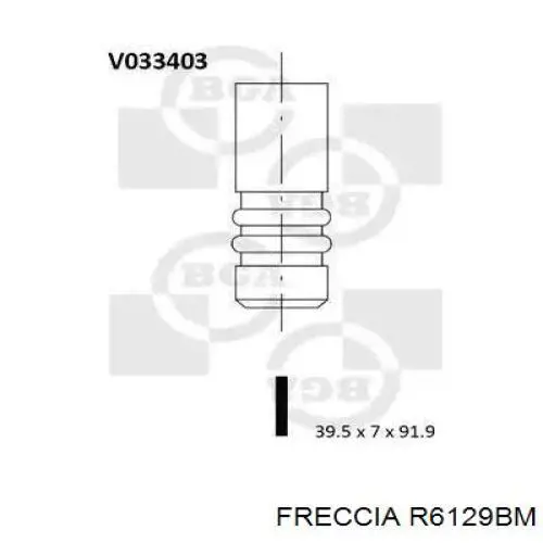 Comprar R6129BM Freccia Válvula escape