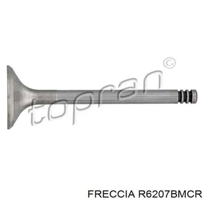 Válvula de escape Freccia R6207BMCR precio, desde 12,19 EUR