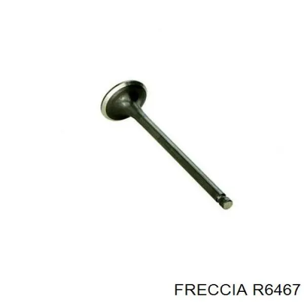 R6467 Freccia válvula de escape