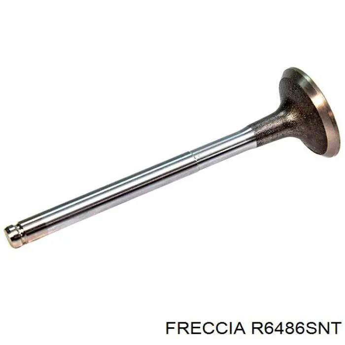 Válvula de admisión Rocky MA1260 precio, desde 6,15 EUR