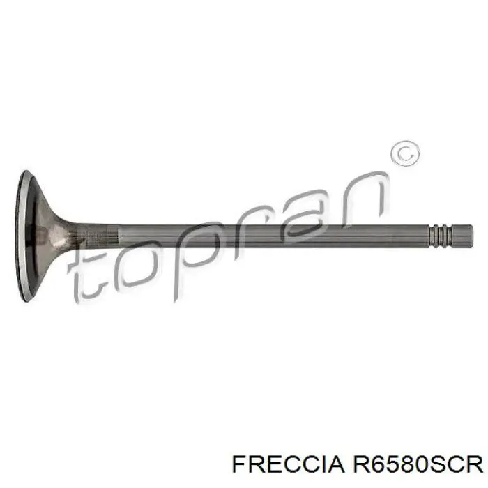 Válvula de admisión Freccia R6580SCR precio, desde 11,10 EUR