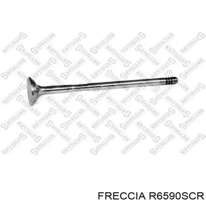 Comprar 55225891 Fiat/Alfa/Lancia Válvulas de admisión