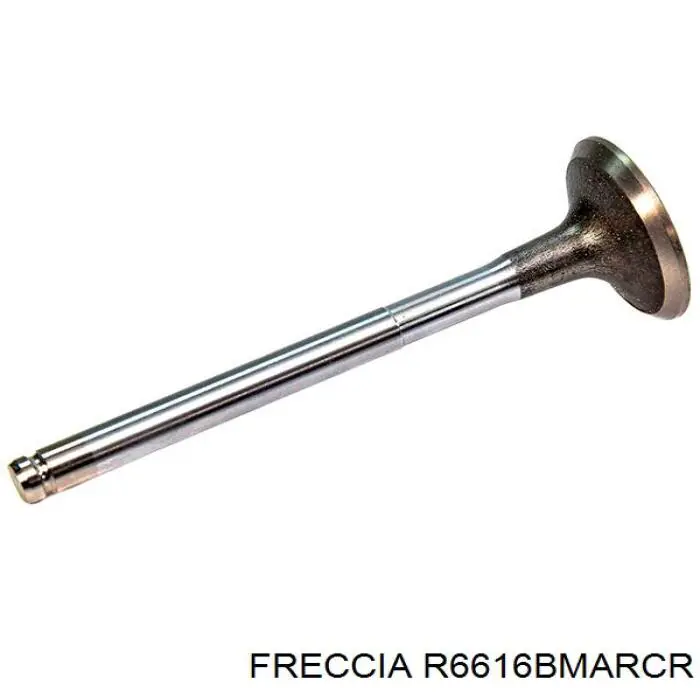 R6616BMARCR Freccia válvula de escape