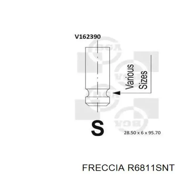 R6811SNT Freccia válvula de admisión