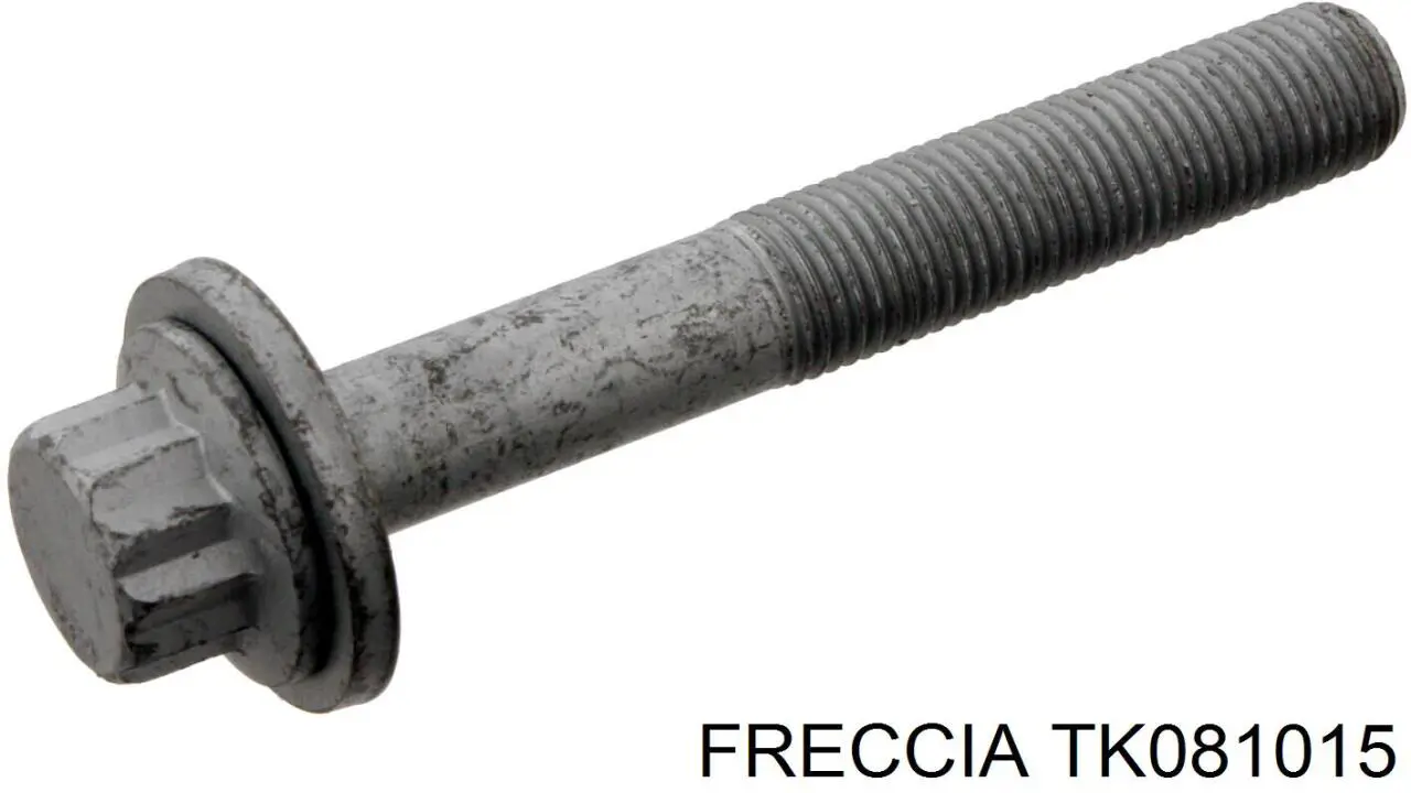 Kit de cadenas de distribución FRECCIA TK081015