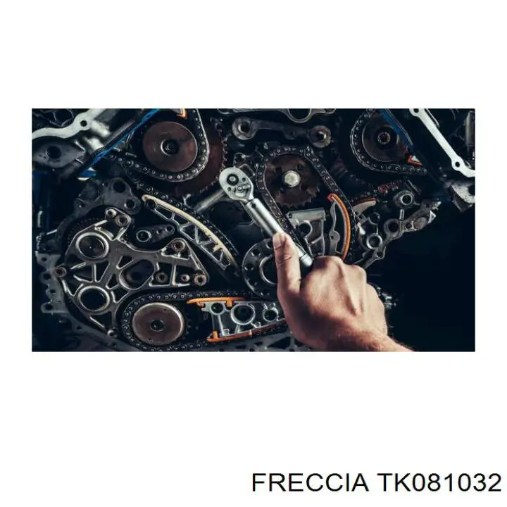  Freccia TK081032 precio, desde 78,50 EUR