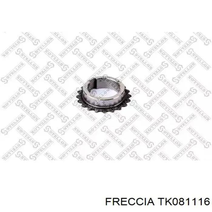 Kit de montaje de la cadena de distribución  Freccia TK081116