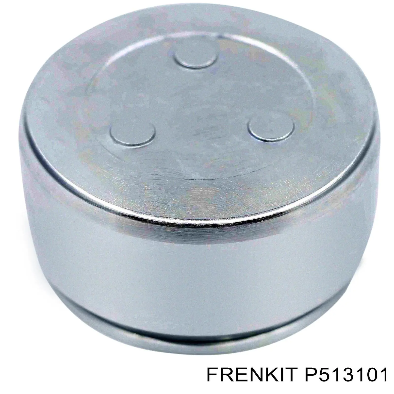 P513101 Frenkit émbolo, pinza del freno delantera