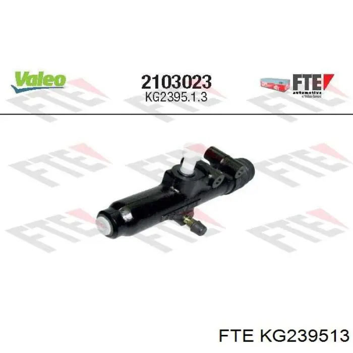 KG239513 FTE