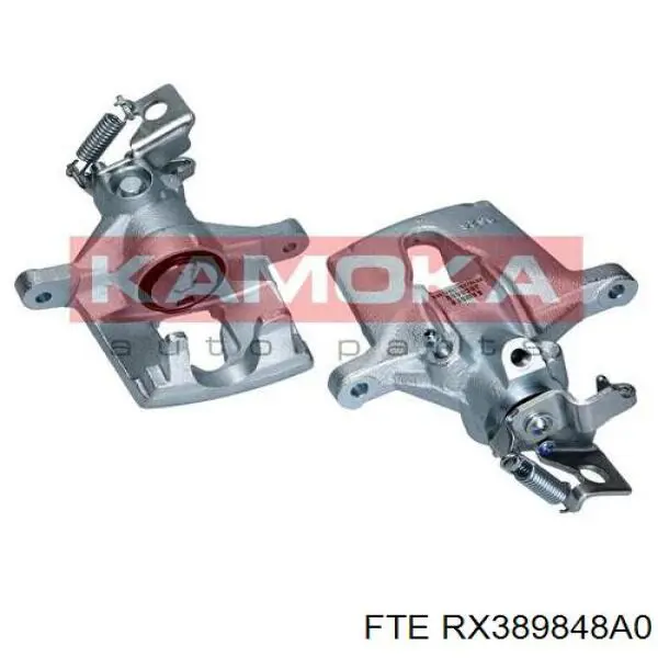 RX389848A0 FTE pinza de freno trasero derecho