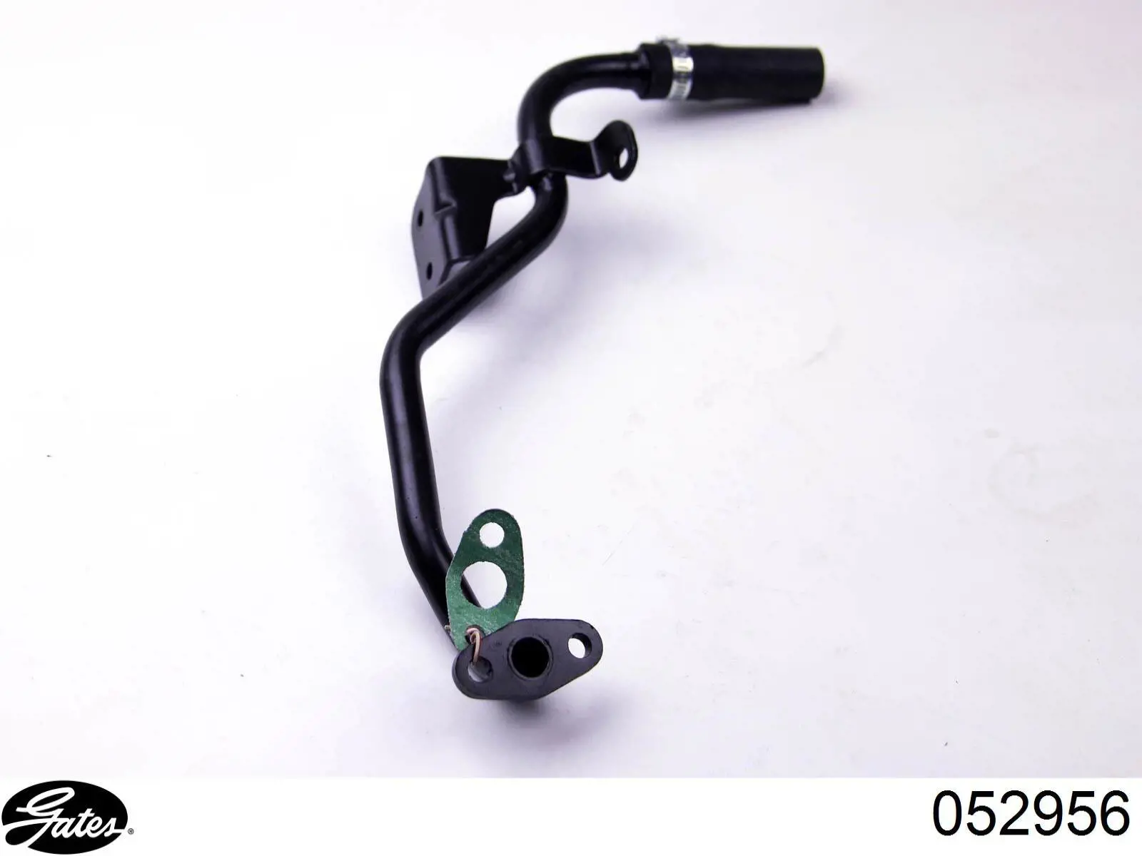 Comprar DWC060TT Thermotec Manguera inferior del radiador
