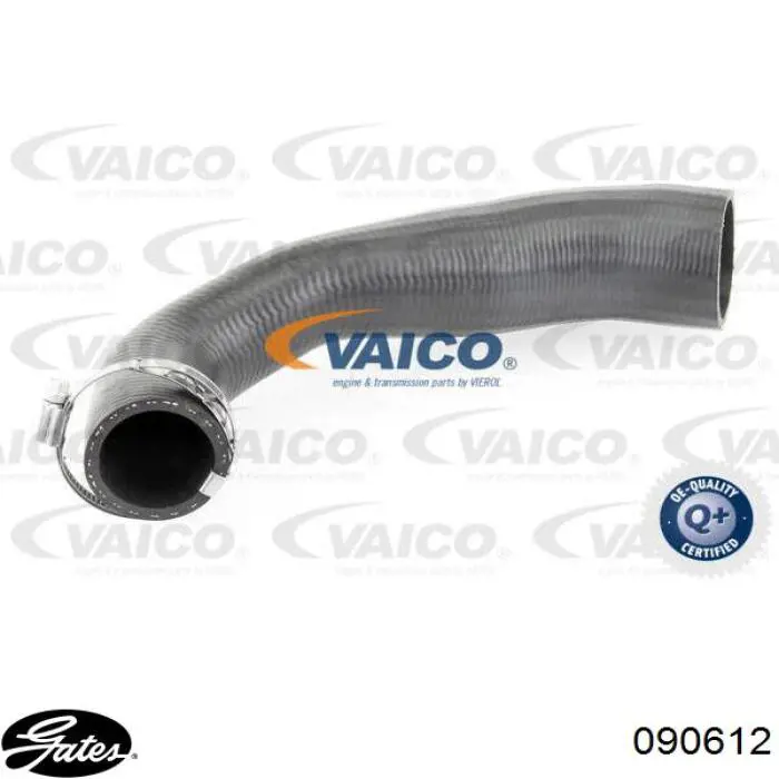 Tubo flexible de aire de sobrealimentación inferior derecho para Ford Mondeo (B4Y)