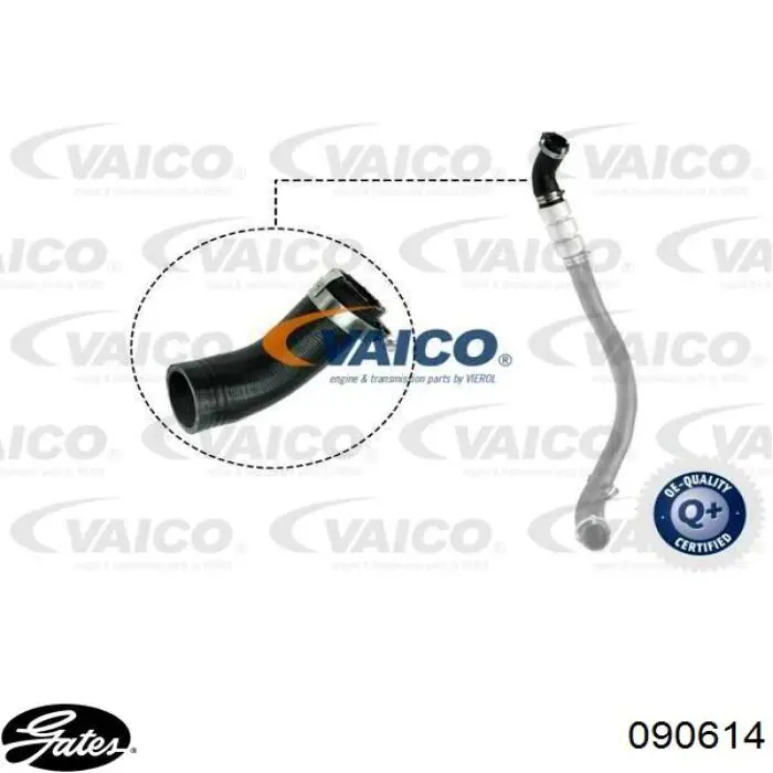 Tubo flexible de aire de sobrealimentación superior izquierdo para Ford Transit (V347/8)