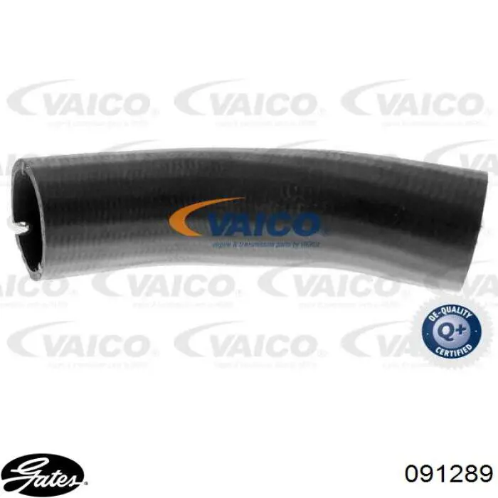 Manguera del intercooler Fiat/Alfa/Lancia 51832224 precio, desde 47,04 EUR