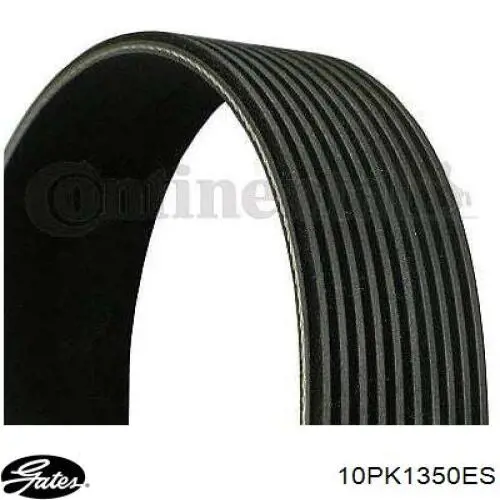 45199 Febi Correa poly v