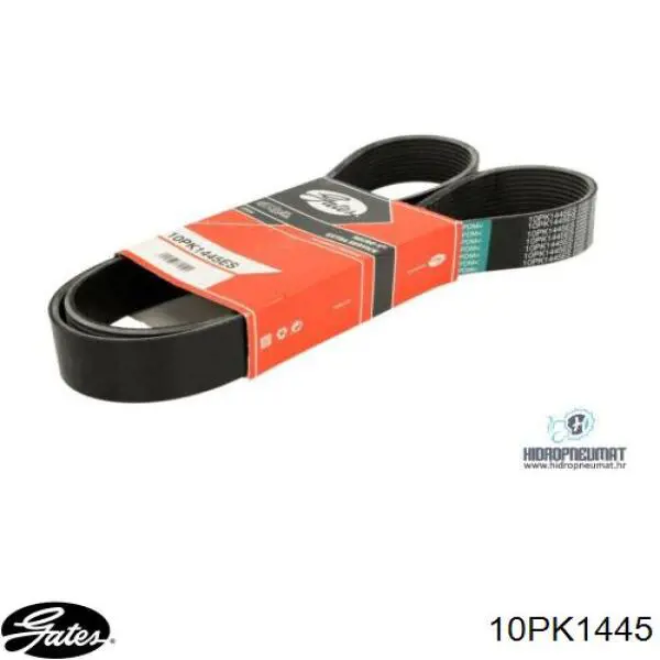 Correa de alternador 10PK1440 Dayco