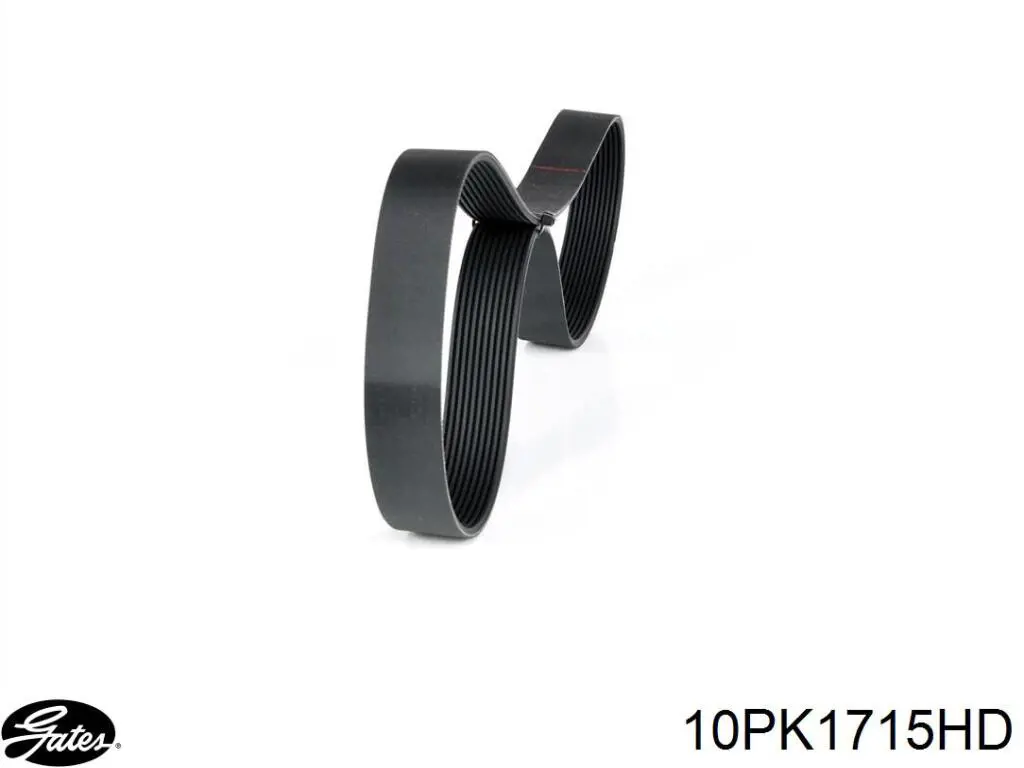 Correa de transmisión trapezoidal Continental/Siemens 10PK1715 precio, desde 42,86 EUR