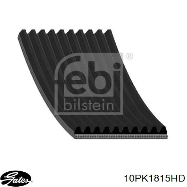 10PK1815 Continental/Siemens Correa poly v