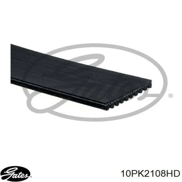Comprar 45442 Febi Correa trapezoidal