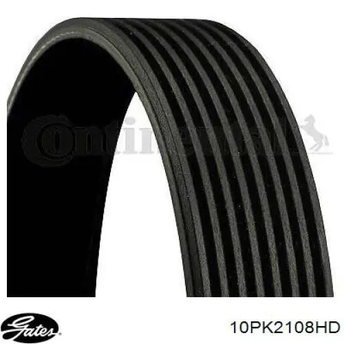 45442 Febi Correa poly v