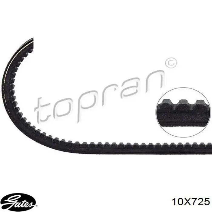 Comprar 7776571 Fiat/Alfa/Lancia Correa trapezoidal