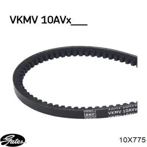 Correa accesorios INA FB10X775