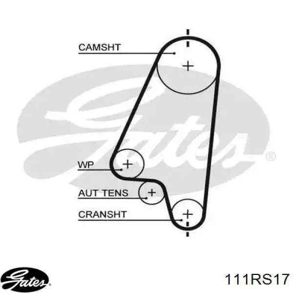 Comprar 111RS17 Gates Correa distribución
