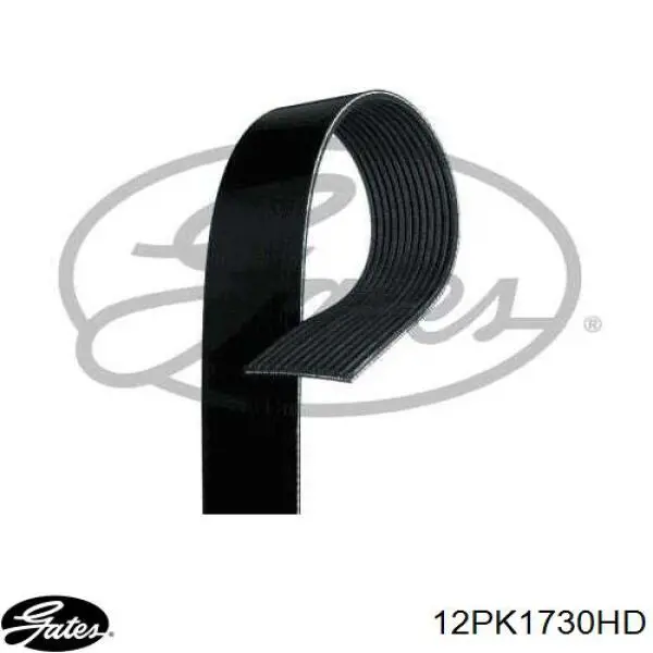 Correa de transmisión trapezoidal Dayco 12PK1730HD precio, desde 54,64 EUR