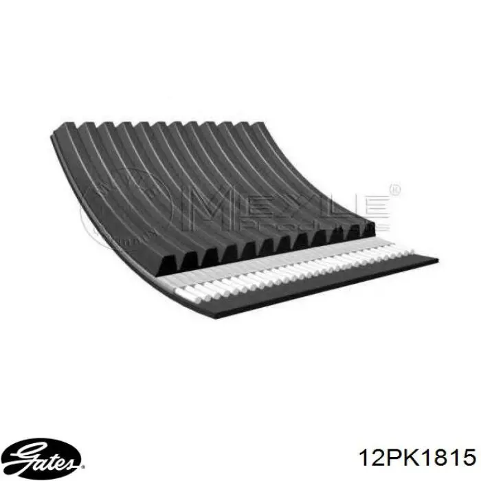 Comprar 504049425 Iveco Correa trapezoidal
