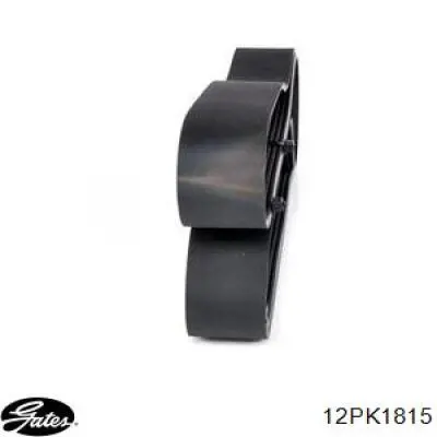 Correa de alternador 504049425 Iveco