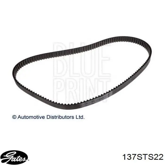 Correa distribución 137STS22 Gates