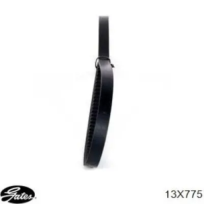 13X780 Dongil Correa poly v