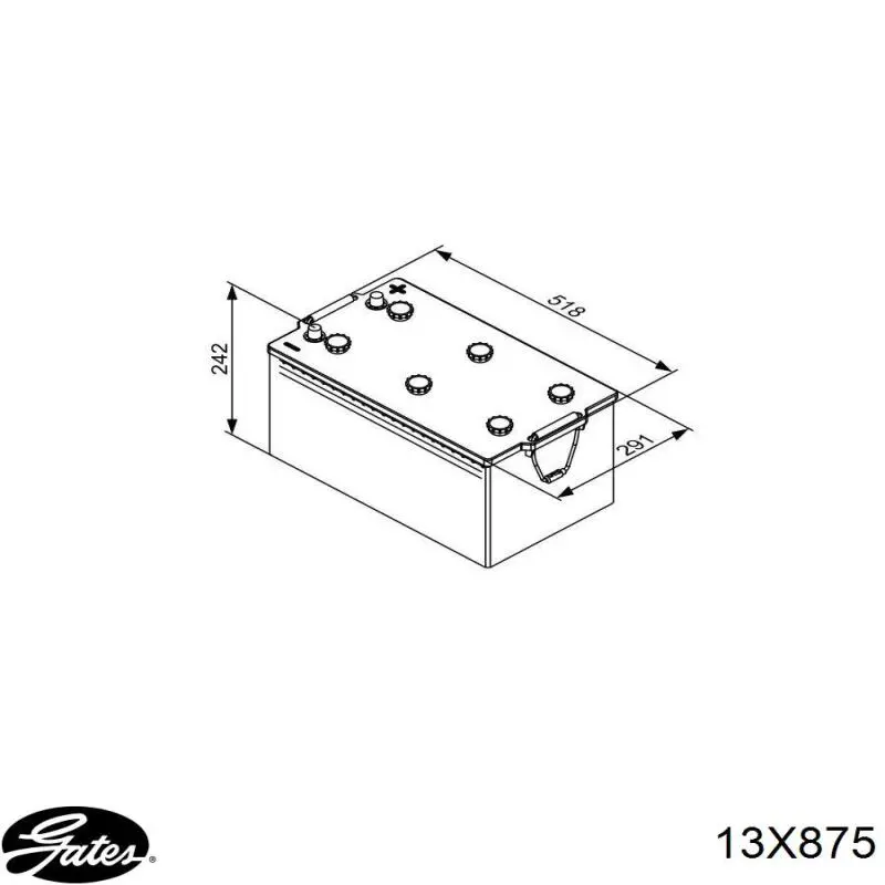 DT13X875LA Japan Parts Correa de transmisión trapezoidal