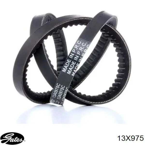 Correa trapezoidal Ford Ranger ET