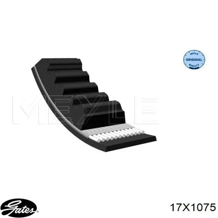 Correa de alternador 17X1075 Gates