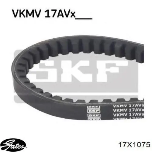 17X1075 Gates Correa poly v