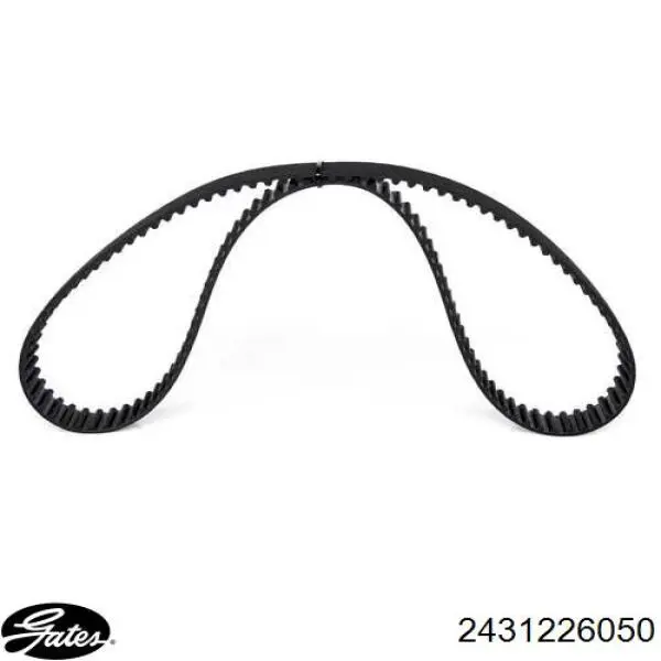 Comprar S2431226050 Hyundai/Kia Correa distribución