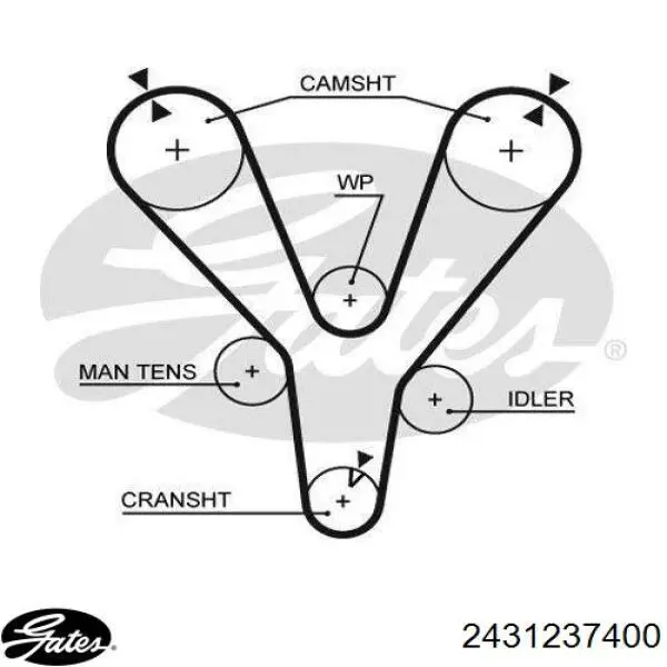 2431237400 Gates correa distribucion