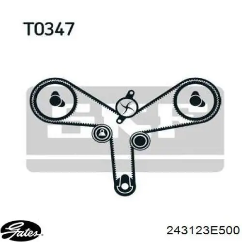 243123E500 Gates correa distribucion