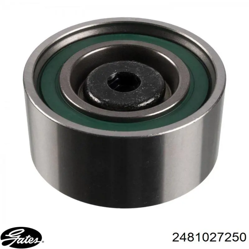 Comprar S2481027250 Hyundai/Kia Polea correa distribución