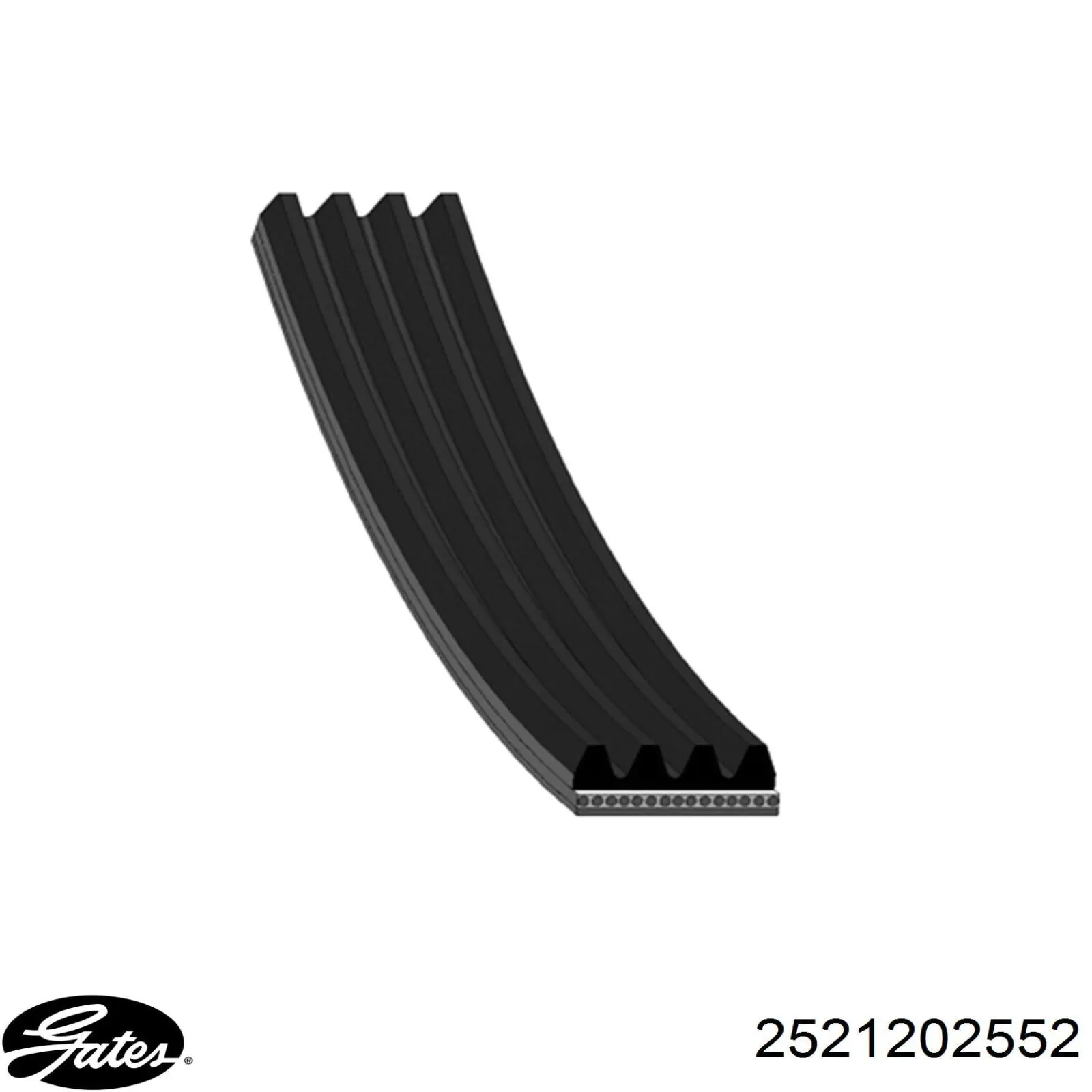 Correa accesorios Rover GMB40770
