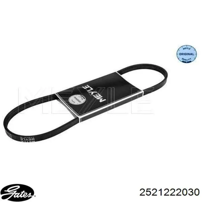 Correa trapezoidal Subaru Forester 1 S10, SF