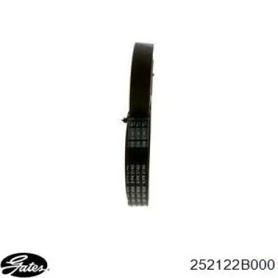 38920RCAA01 Honda Correa poly v