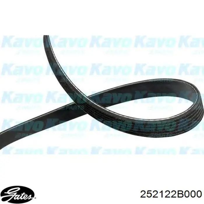 Correa de alternador 38920RCAA01 Honda